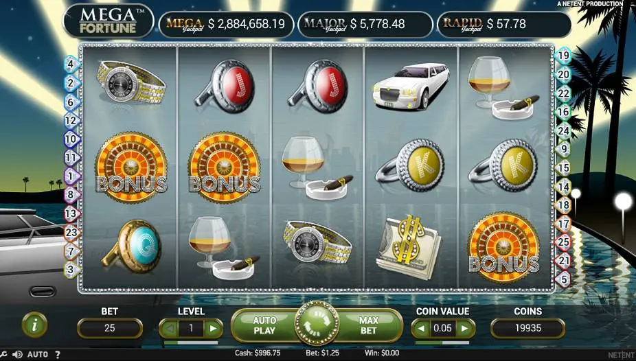 Mega Fortune Slot Bonus Symbol