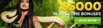 Wild Casino Welcome Bonus