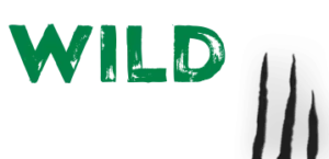 https://static.casinoshub.com/wp-content/uploads/2018/11/wild-casino-logo-300x145.png