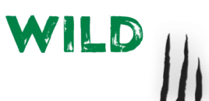 Wild Casino