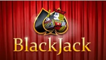 Beginner&#8217;s Guide on How to Play Blackjack