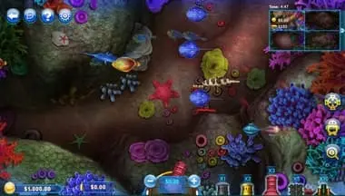 Fish Catch Online Pokies