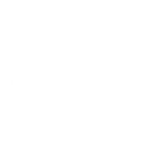 WildTornado