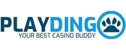 Playdingo Casino