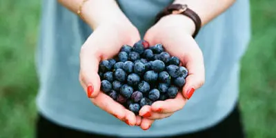 blueberries - a brain food for gambling