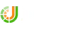 JeetCity Casino