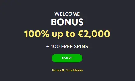 LionSpin Casino Welcome Bonus