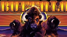 Buffalo slot game review