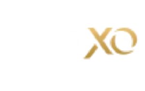 https://static.casinoshub.com/wp-content/uploads/2024/05/rollXO-casino-logo.webp