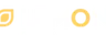 Lemon Casino