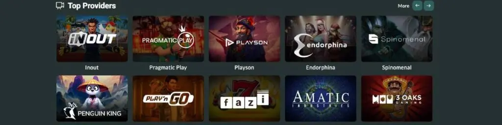 Lemon Casino Top Providers Screenshot