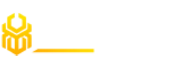 Book of Bet