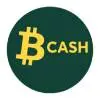 Bitcoin Cash (BCH) icon in CasinosHub style.