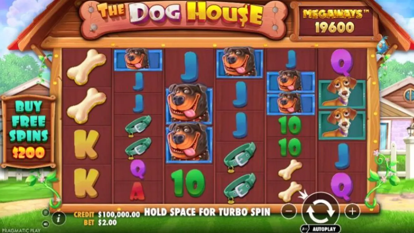 The Dog House Megaways Background review Screenshot