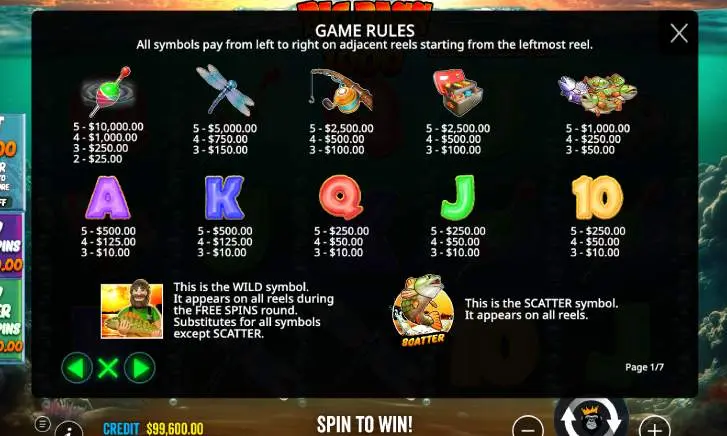 Big Bass Bonanza 1000 Slot Game Rules